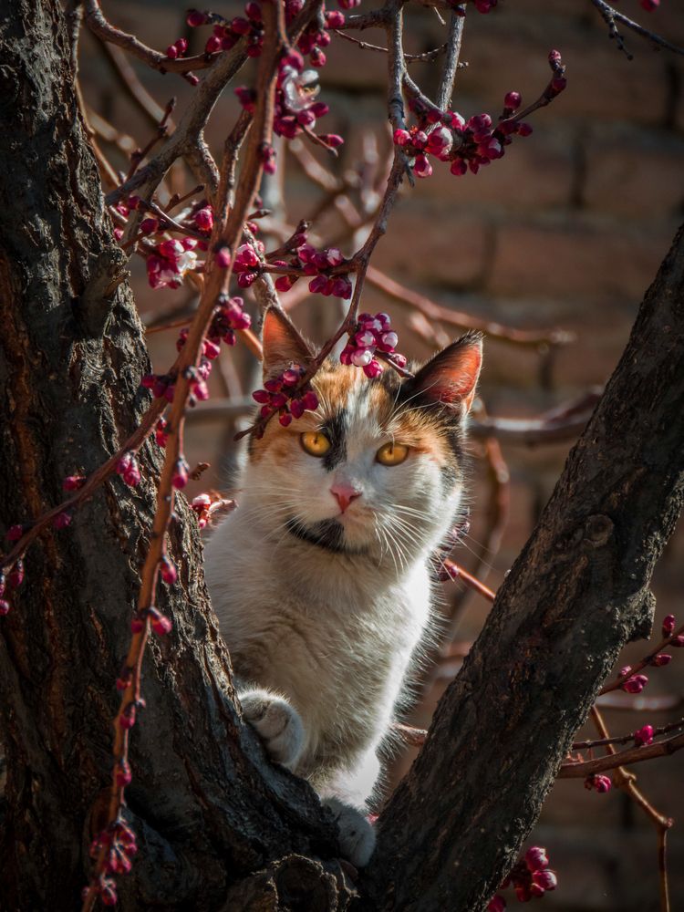 Photograph by Bahrami Ashkan
