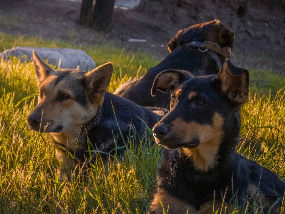 Photograph by Bahrami Ashkan