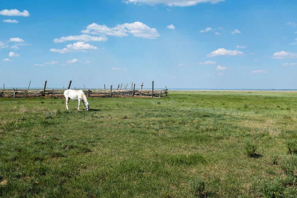 Photograph by Denis Phominov