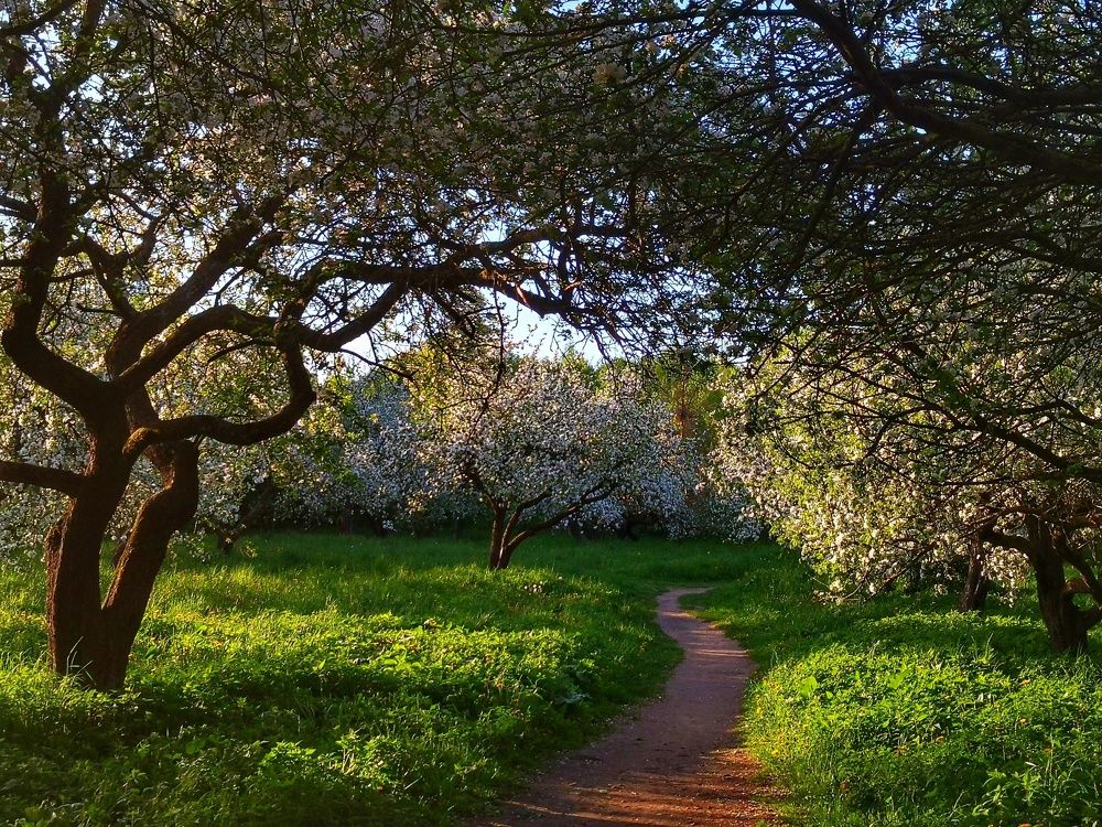 Photograph by Наталья