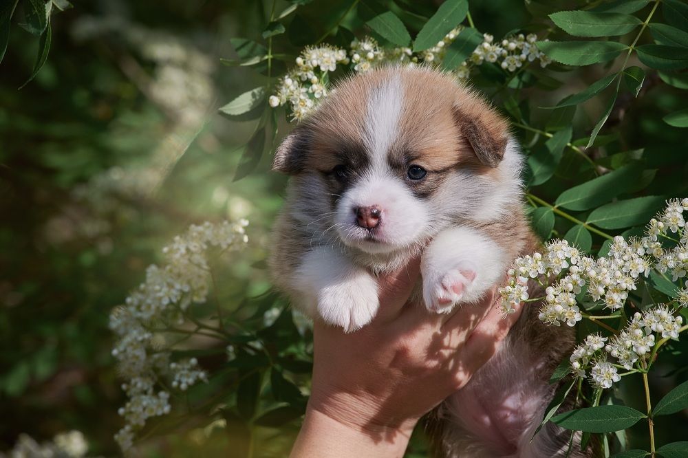 Photograph by Ирина Оболенская