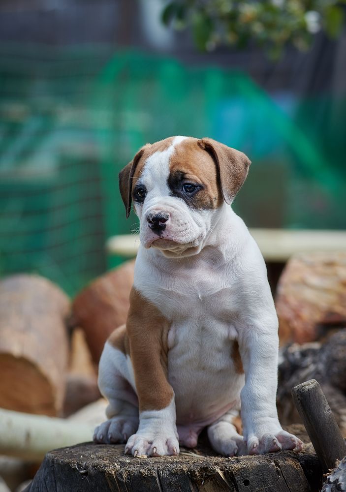 Photograph by Ирина Оболенская