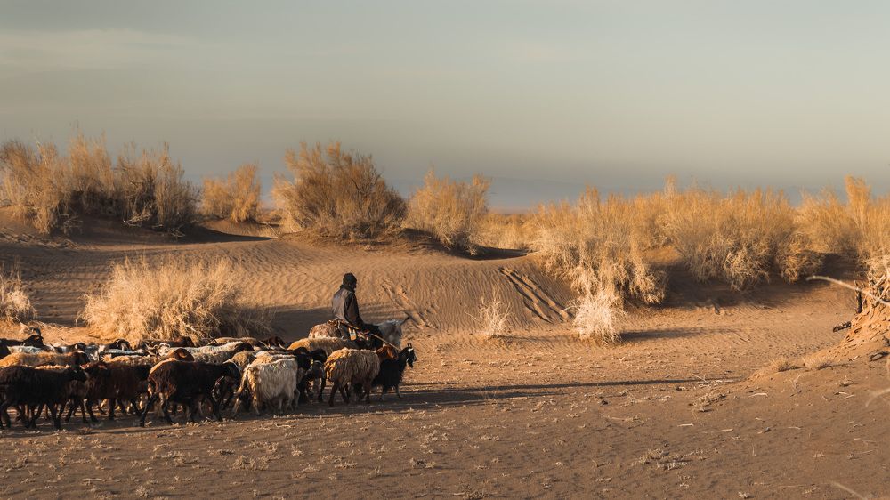 Photograph by mehrshad hassani