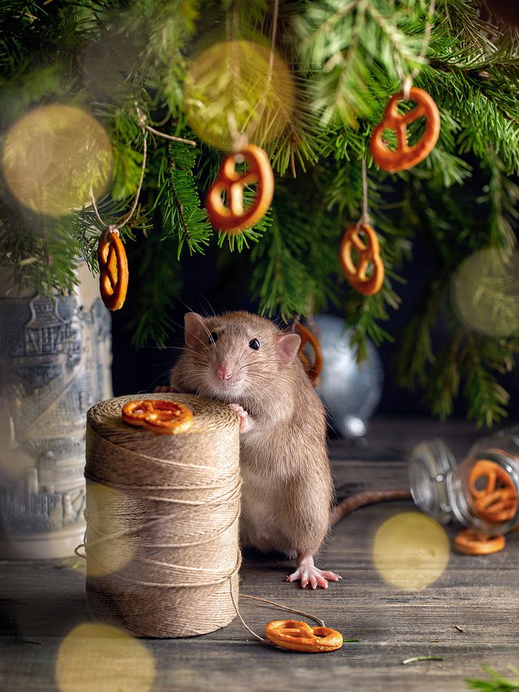 Photograph by Алена Теплова