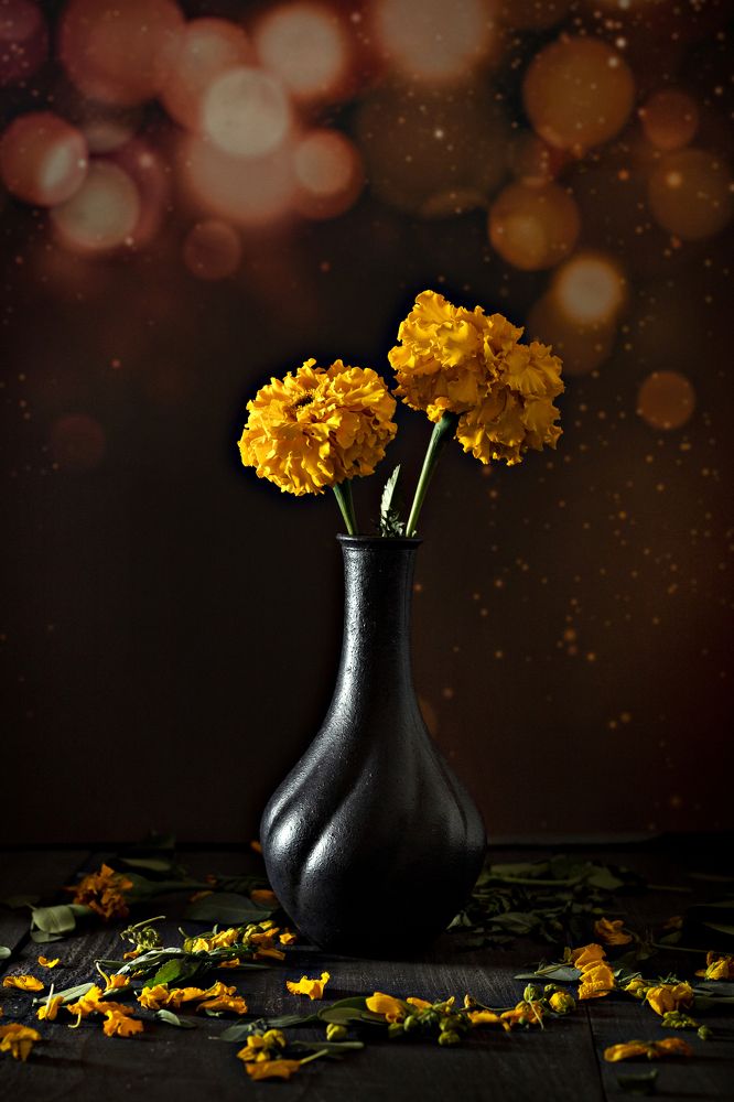 Photograph by mohammed fawzy