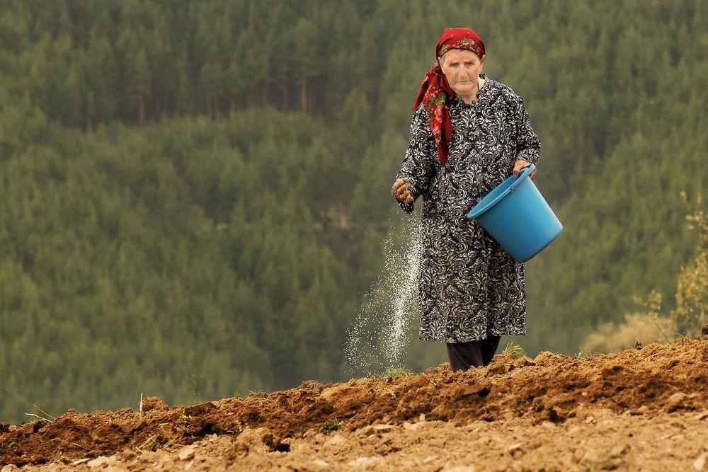 Photograph by Димитър Митрев