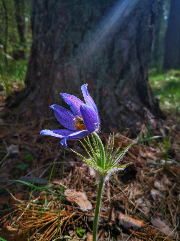 Photograph by Наталья