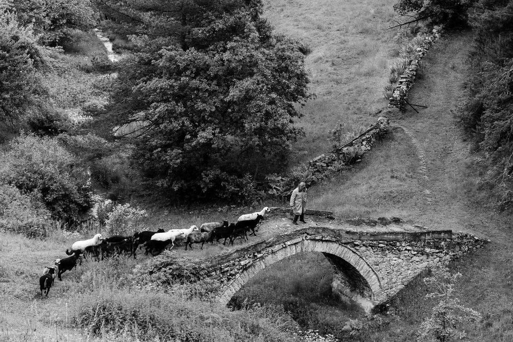 Photograph by Димитър Митрев