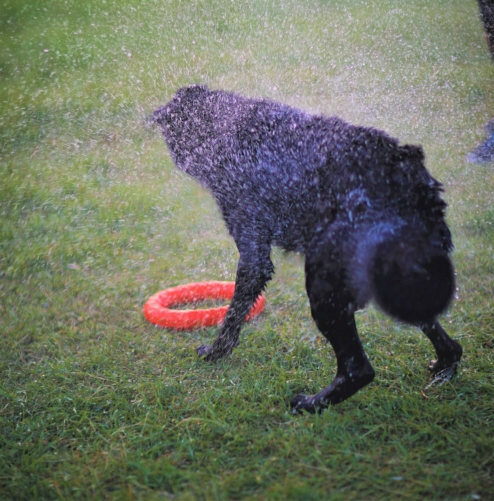 После купания