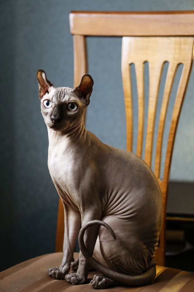 Photograph by Натали Габеева