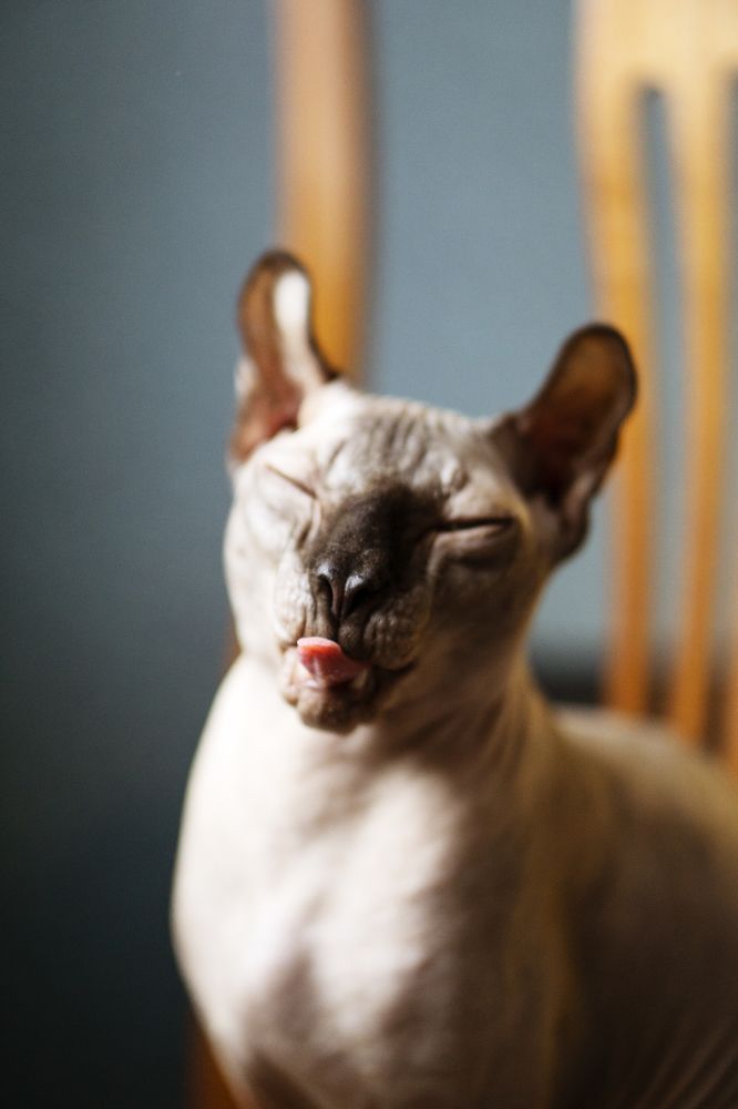 Photograph by Натали Габеева