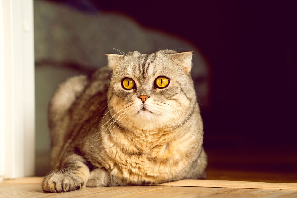 Photograph by Натали Габеева