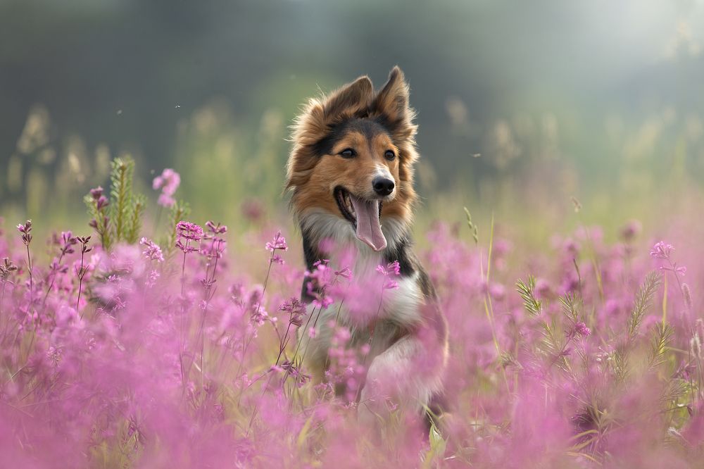 Photograph by Светлана Писарева