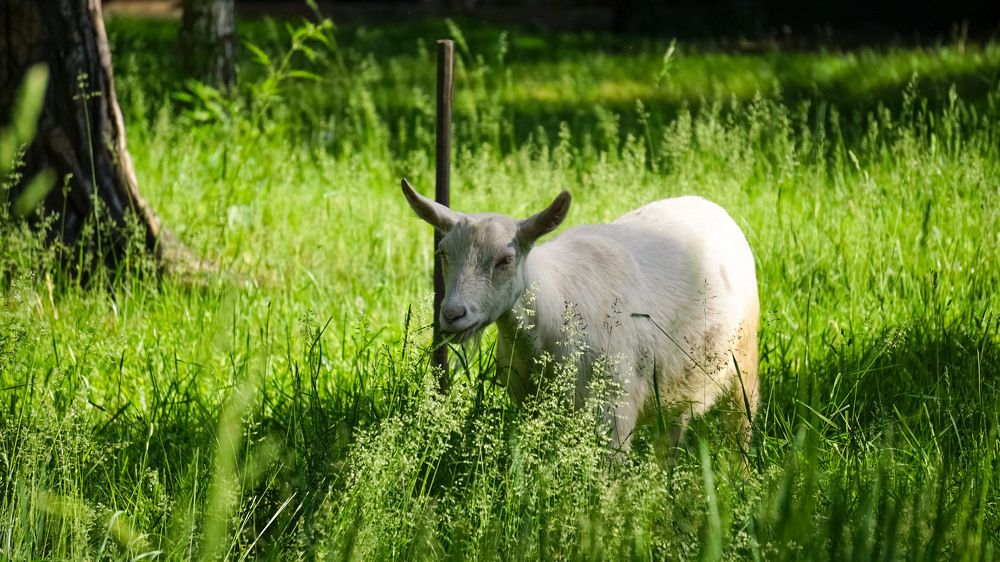 Photograph by Slesareva Nina