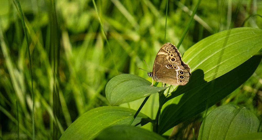 Photograph by Slesareva Nina