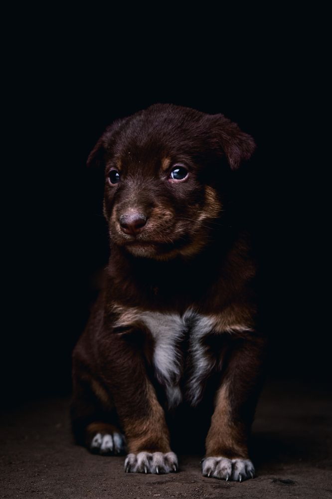 Photograph by Shohag Emranuzzaman