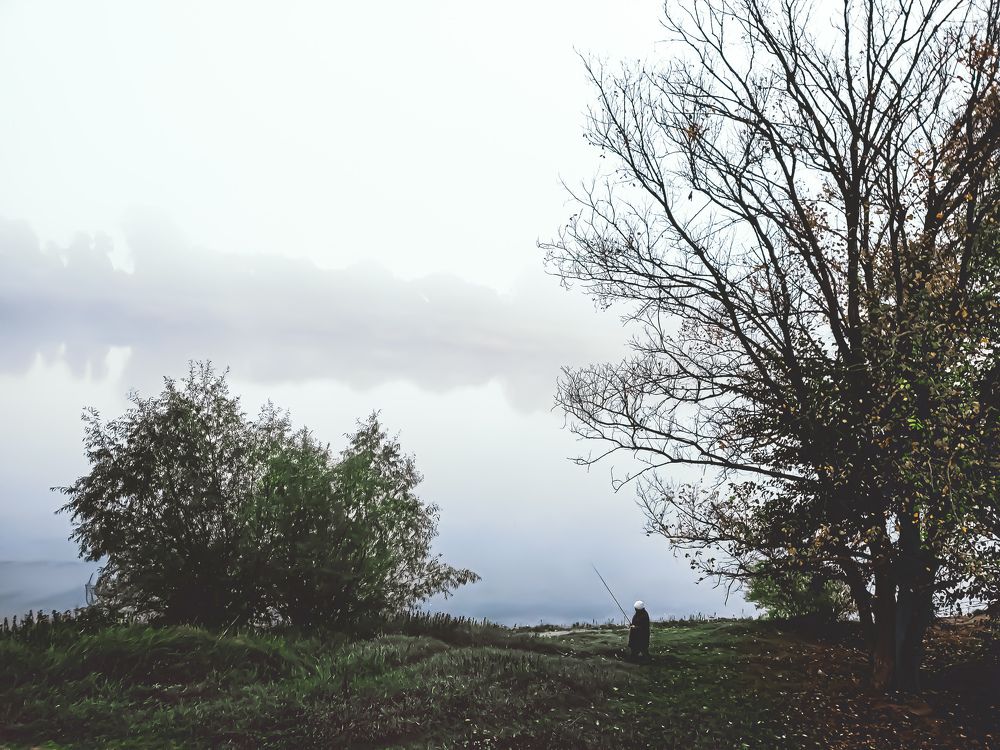 Photograph by Ирина Панкова