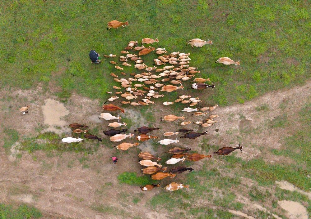 Photograph by Ananto Biswas Utshow