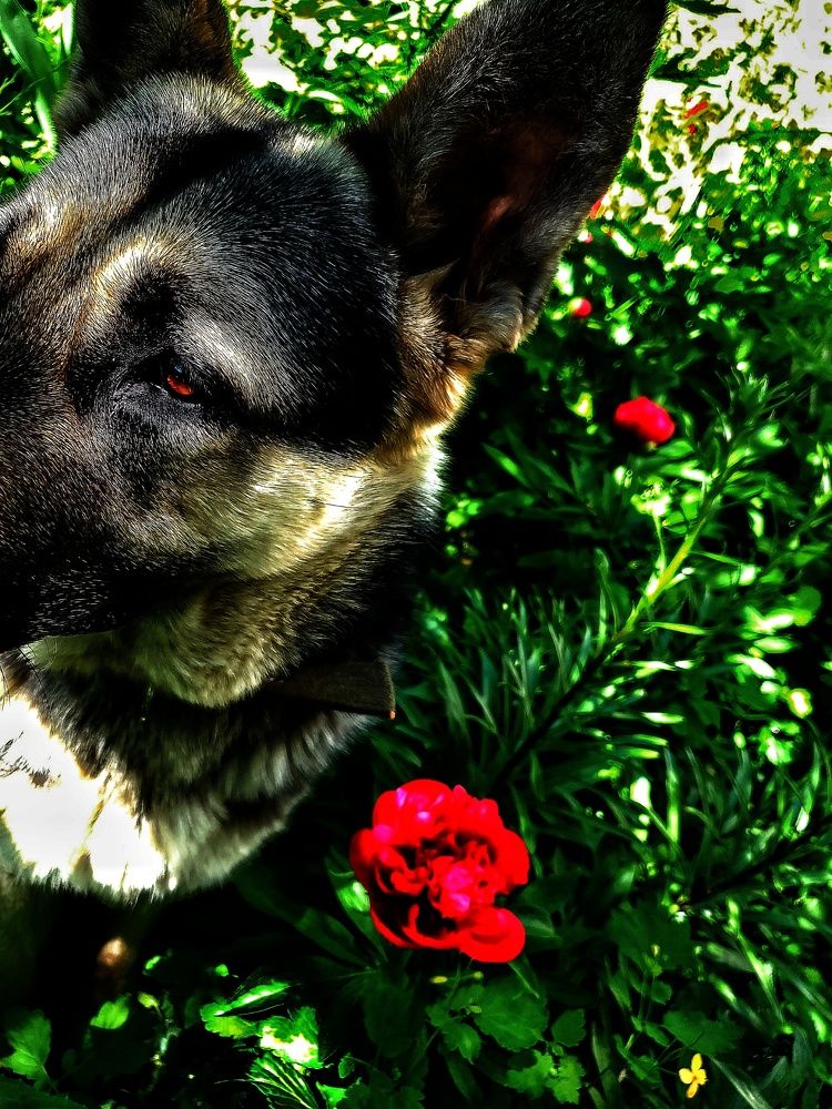 Photograph by Ирина Панкова