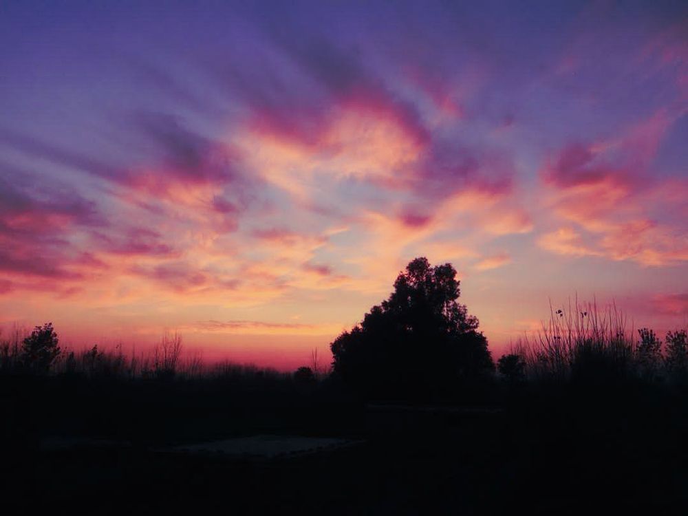 Photograph by Asad Asad