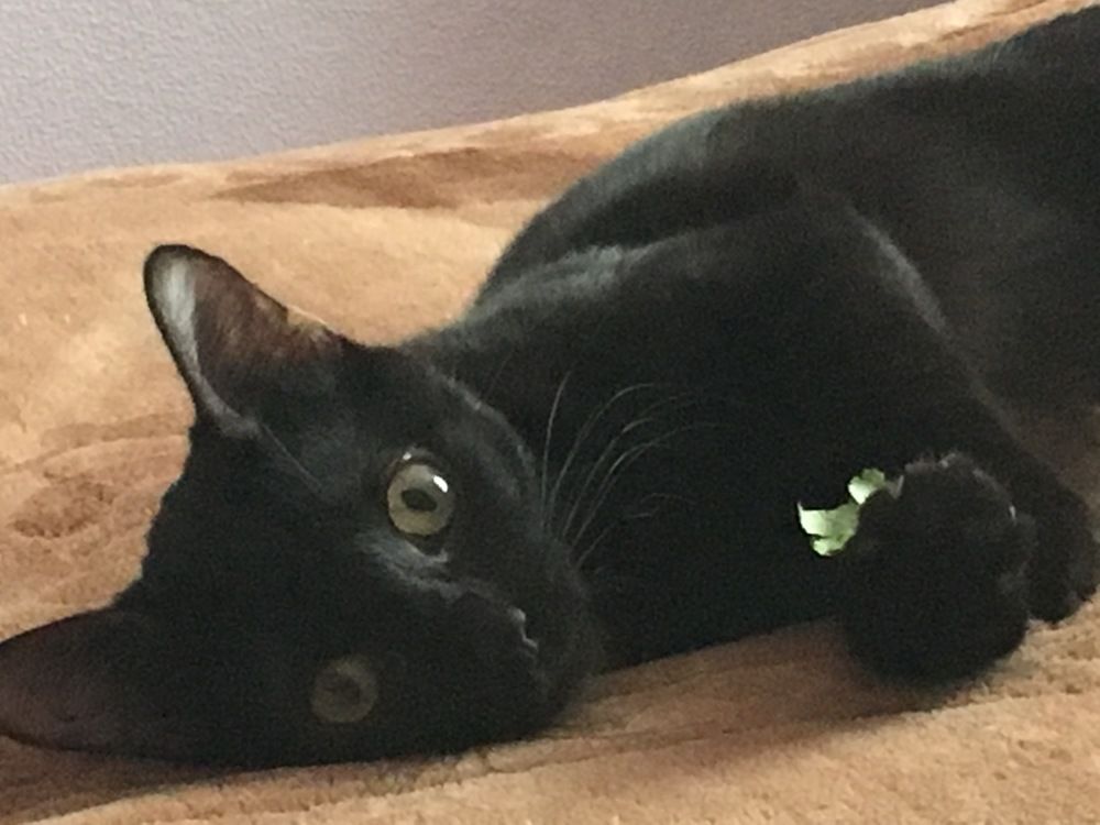 Photograph by Ирина Трембач