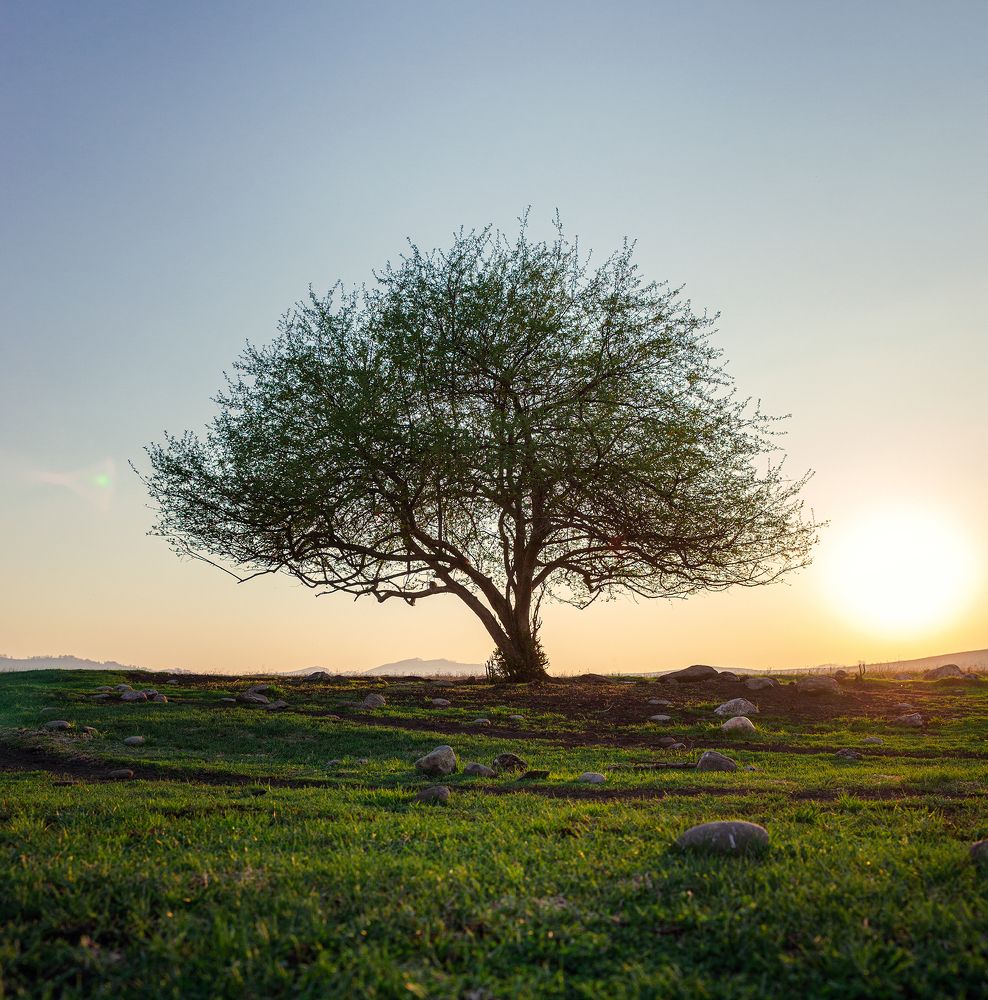 Photograph by Мухммадлоик Эшонкулов