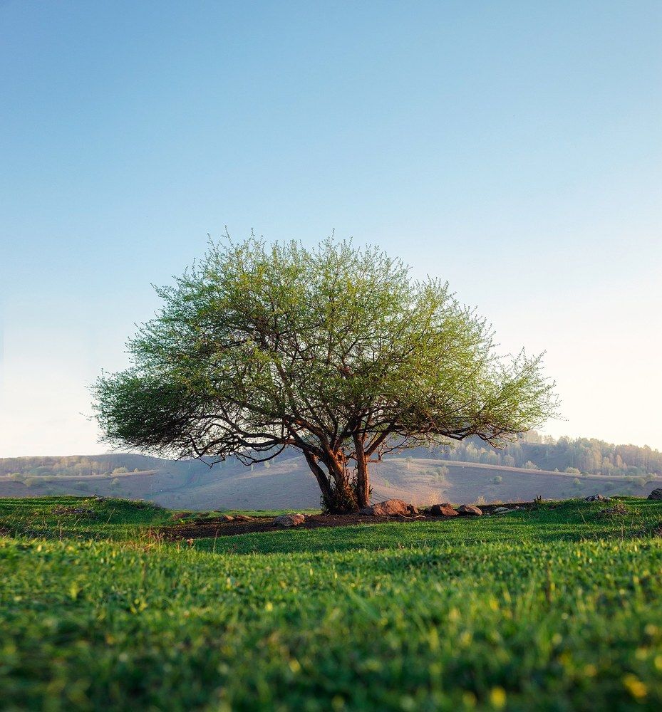 Photograph by Мухммадлоик Эшонкулов