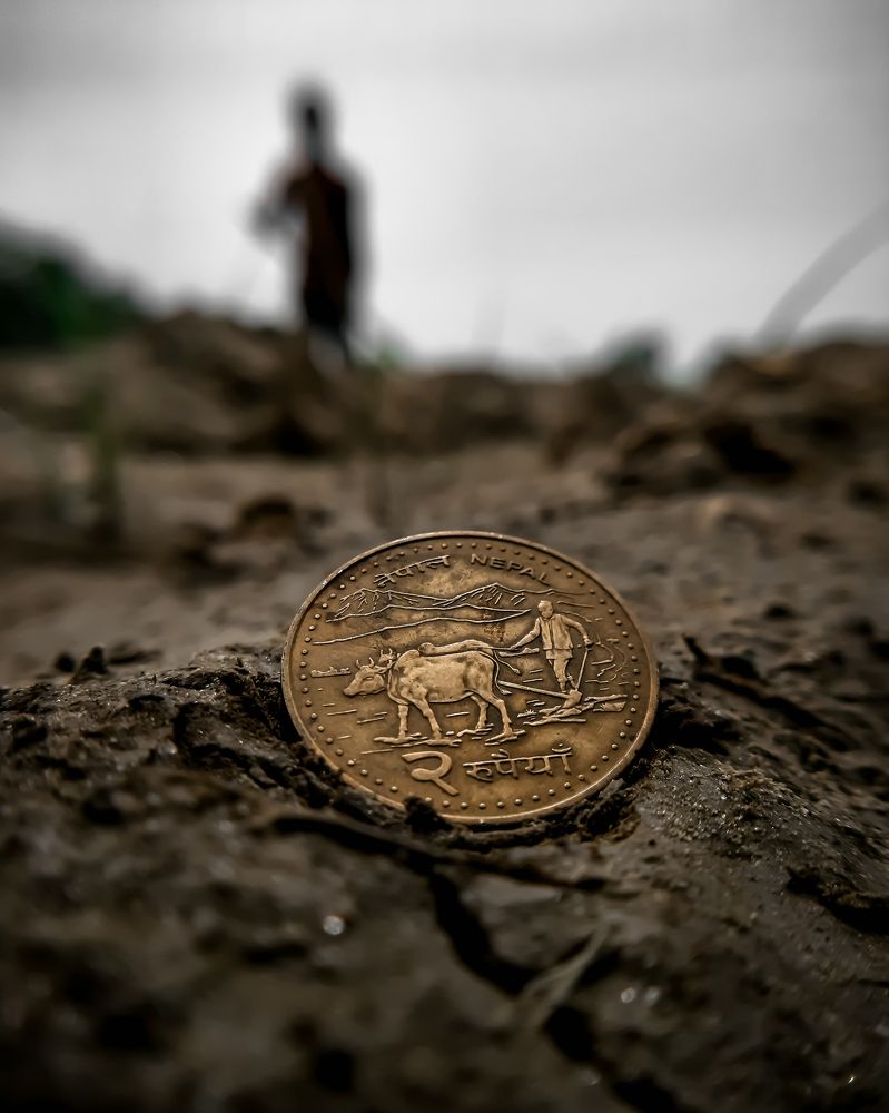 Photograph by Bharat Shukla