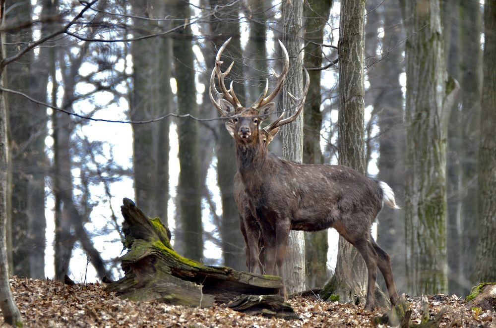 Photograph by Светлана Ткаченко