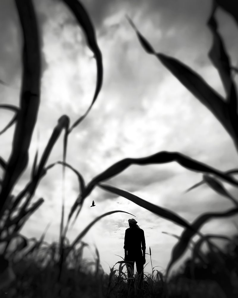 Photograph by Bharat Shukla