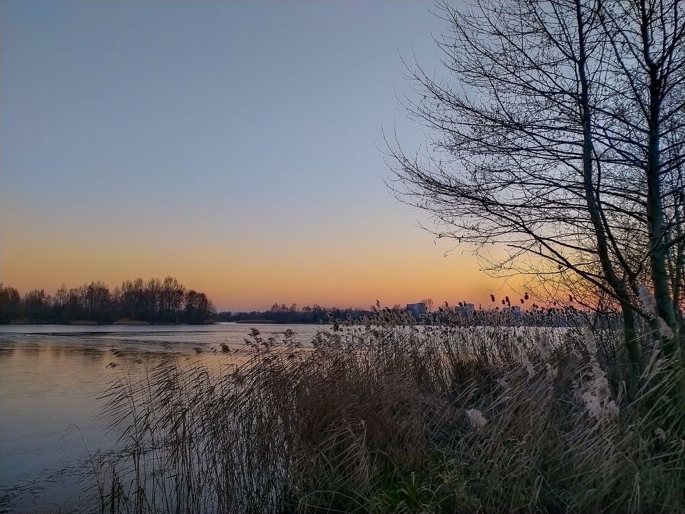 Photograph by Ирина Половцева