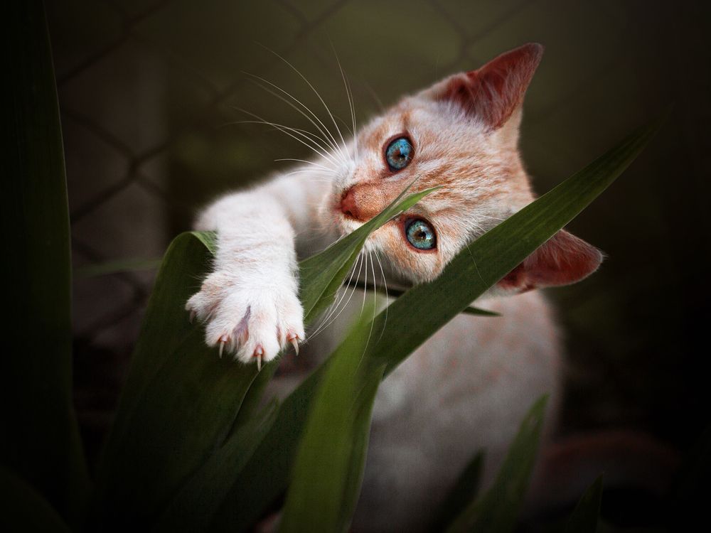 Photograph by Dorota Hnatová