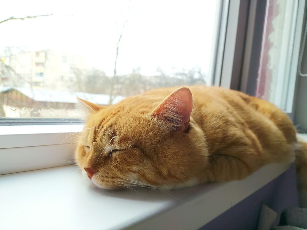 Photograph by Ирина Половцева