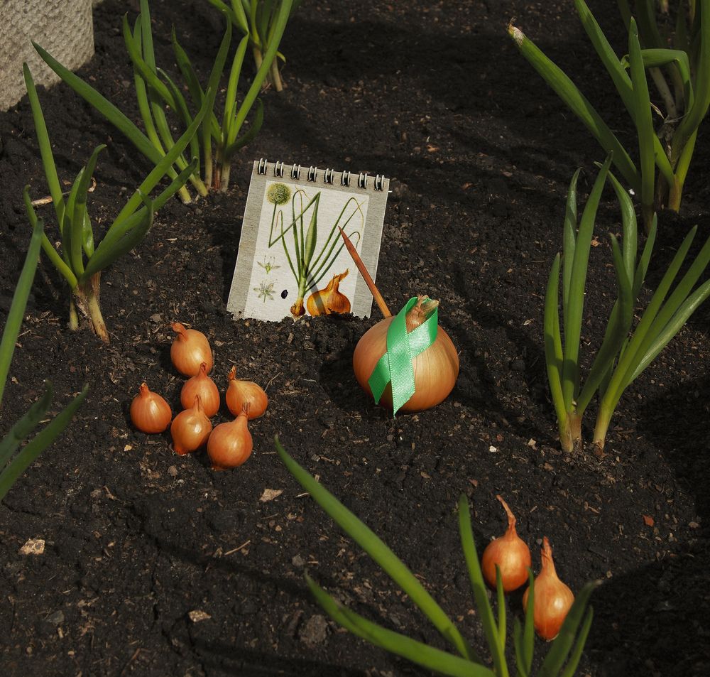 Весенний урок