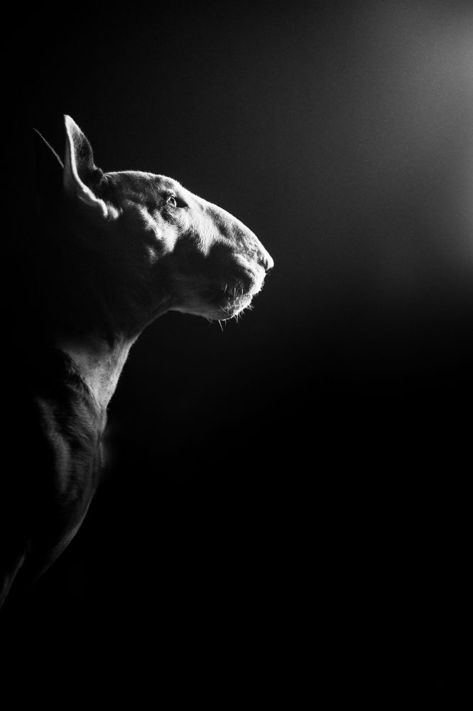 Photograph by Monika Kučerová