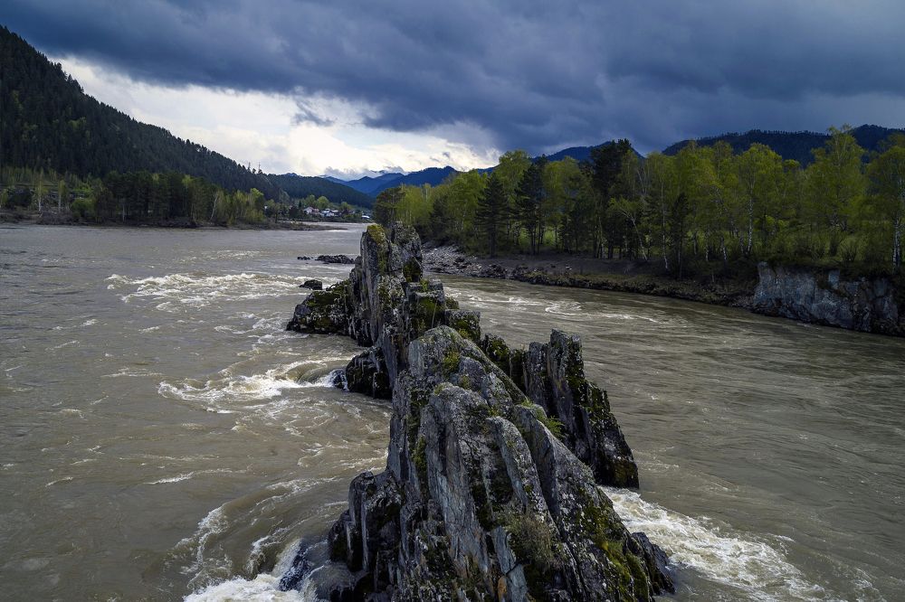 Зубы Дракона.