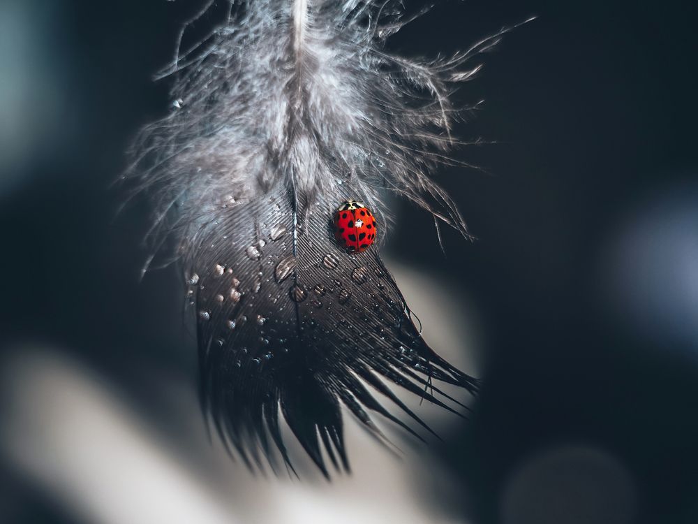 Photograph by Ольга Мурзина