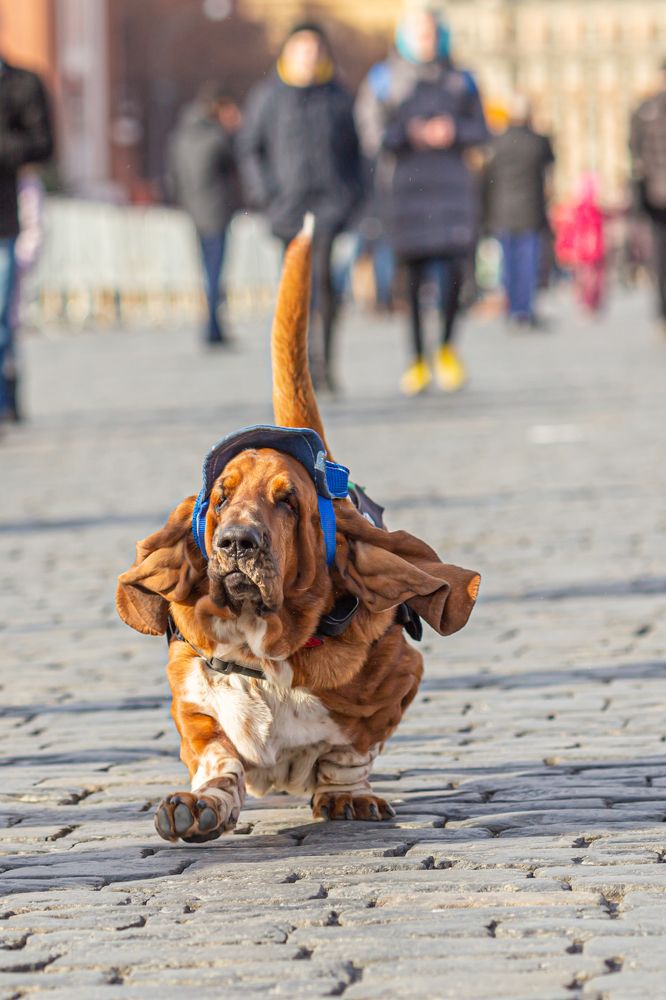 Photograph by Екатерина Коломеец