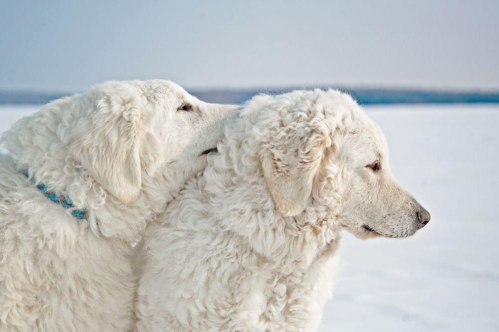 Photograph by Ольга Мурзина