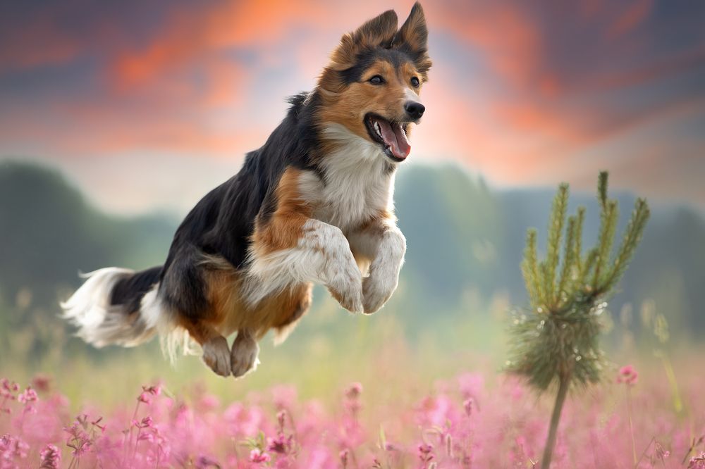 Photograph by Светлана Писарева