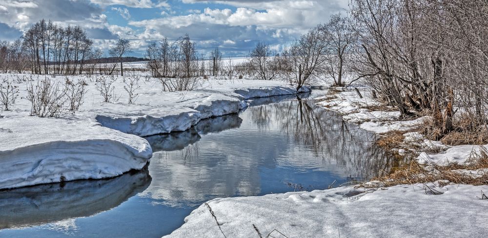 Еще в полях белеет снег, А воды уж весной шумят — Бегут и будят сонный брег, Бегут и блещут и гласят... Они гласят во все концы: «Весна идет, весна идет! Мы молодой весны гонцы, Она нас выслала вперед!» Весна идет, весна идет!