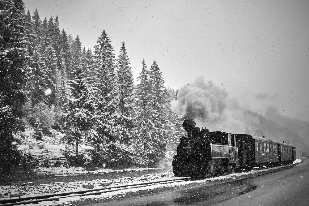 Photograph by Burcea Marius