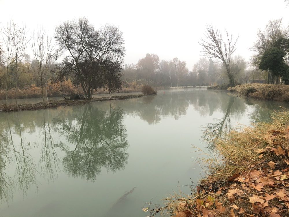 Photograph by Santiago Mata