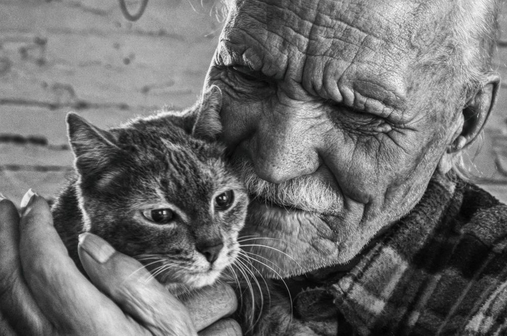 Photograph by Анастасия Голубева