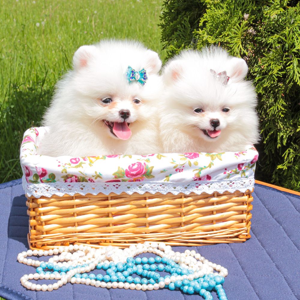 Photograph by Алина