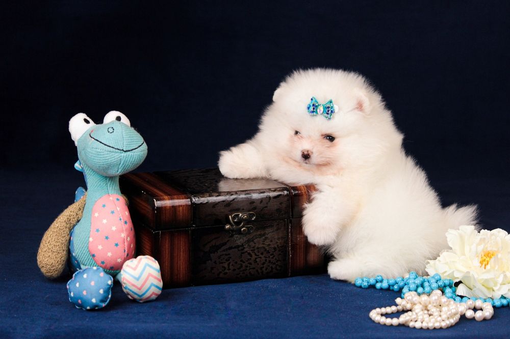 Photograph by Алина