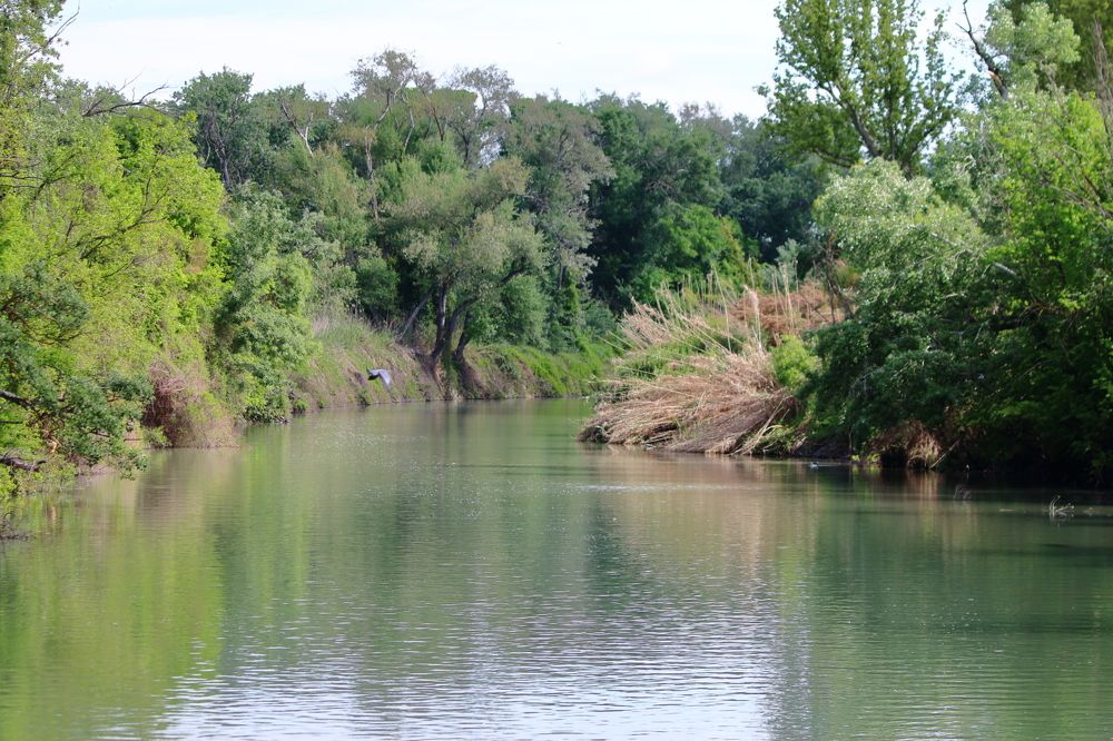 Photograph by Santiago Mata