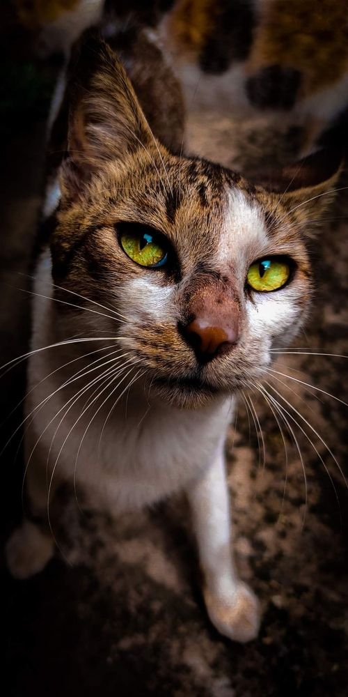 Photograph by Mahmoud Sami Hussein