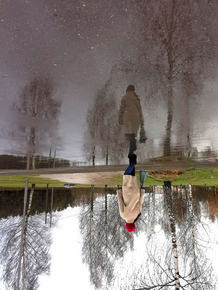 Удивительный мир в отражении