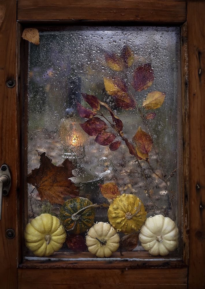 Photograph by Татьяна Кытина